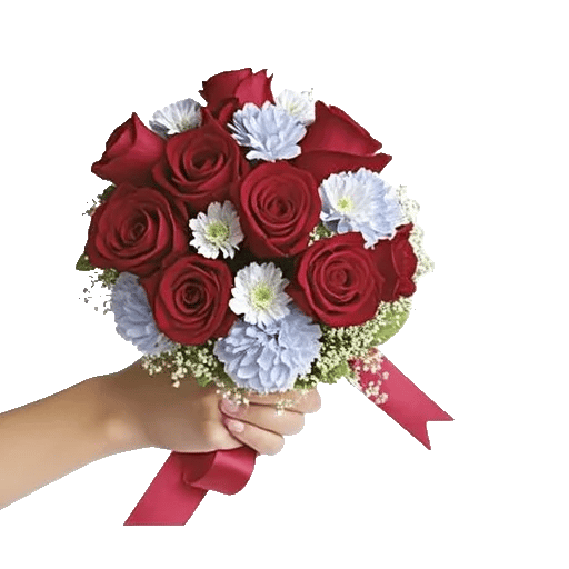 Crimson Rose Elegance