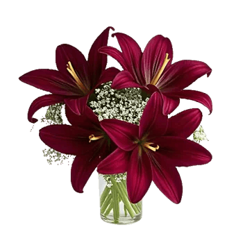 Graceful Lily Display