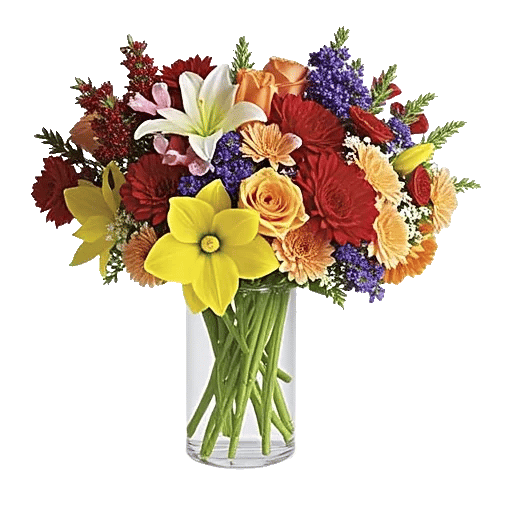 Petal Radiance Bliss