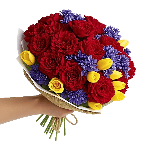 Crimson Rose Elegance