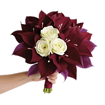 Blushing Rose Symphony