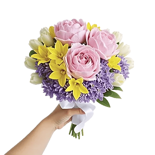 Peony Petal Harmony