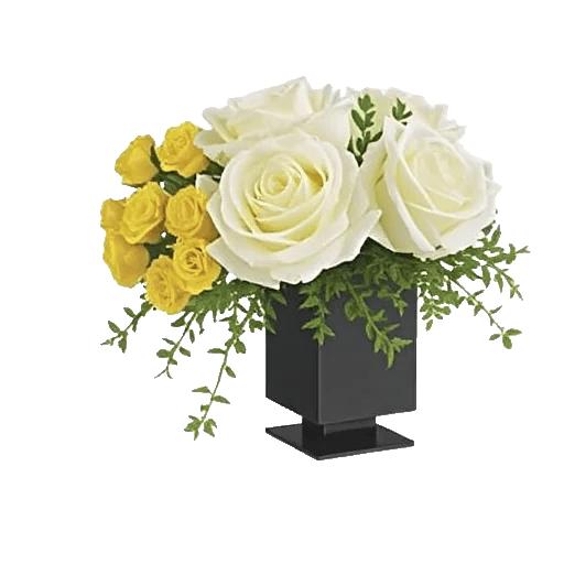 Ivory Blossom Radiance