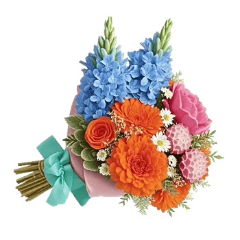 Blossom Petal Serenity