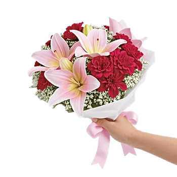 Blushing Rose Symphony