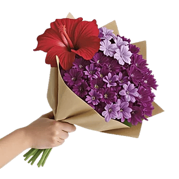 Scarlet Petal Grace