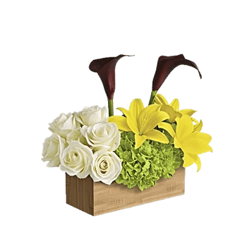 Graceful Lily Display