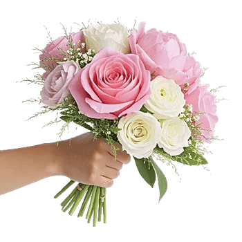 Pink Pastel Roses