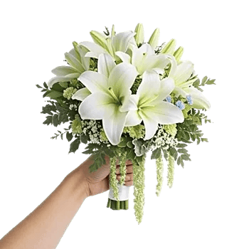 Ivory Garden Grace