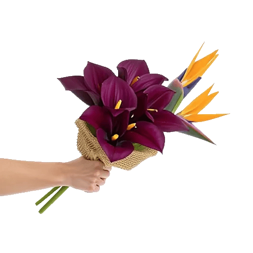 Elegant Calla Lilies