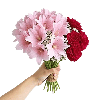 Blossom Harmony Display