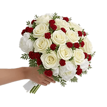 Ivory Blossom Radiance