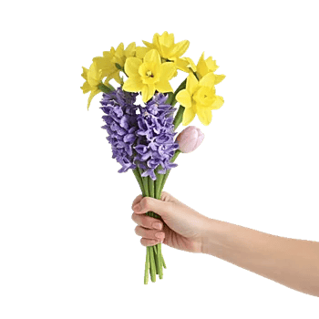 Blossom Harmony Display