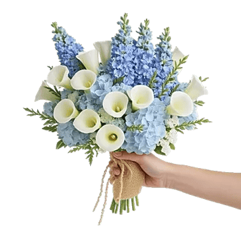 Elegant Calla Lilies