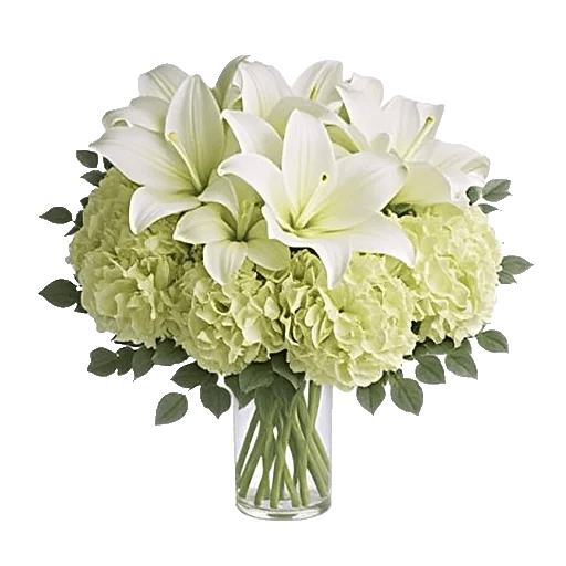 Ivory Blossom Radiance