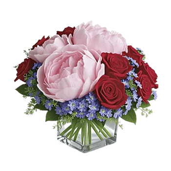 Petal Radiance Bliss