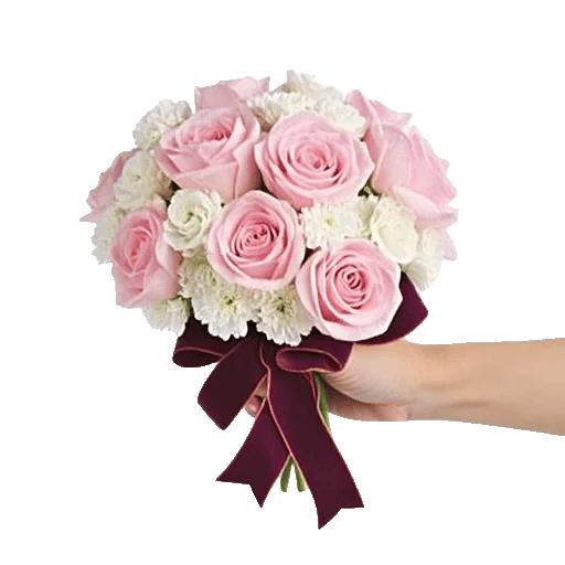 Pastel Pink Roses