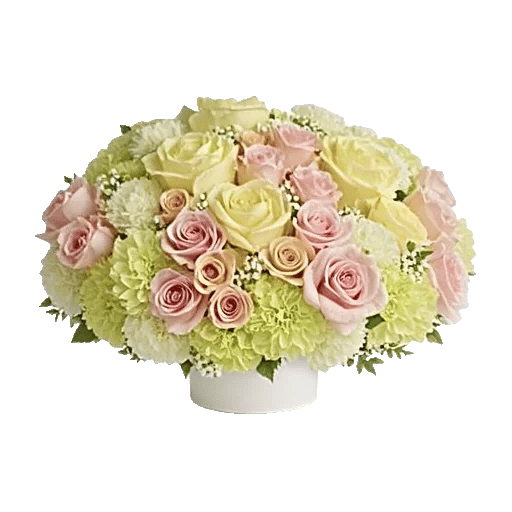 Petal Radiance Bliss