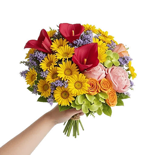 Elegant Calla Lilies