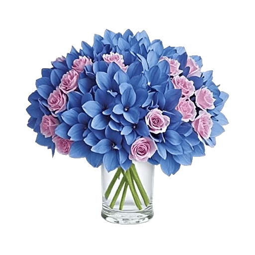Sapphire Bloom Whisper
