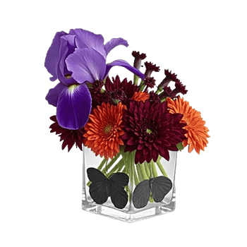 Ivory Blossom Radiance