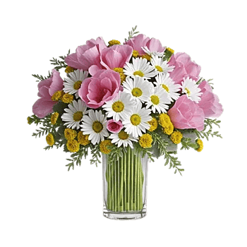 Petal Radiance Bliss