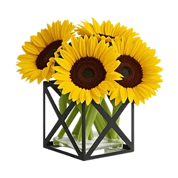 Radiant Bloom Cascade