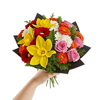 Blossom Harmony Display