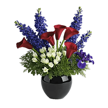 Elegant Calla Lilies