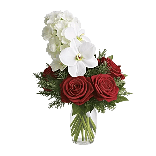 Orchid Bloom Cascade