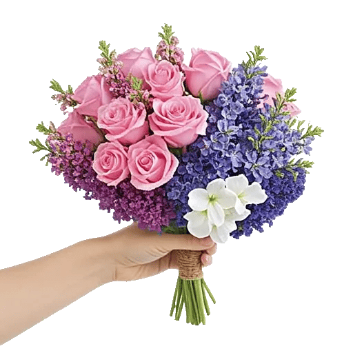 Pastel Pink Roses