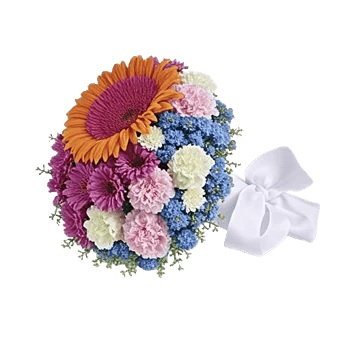Petal Radiance Bliss