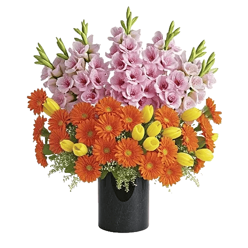 Petal Radiance Bliss