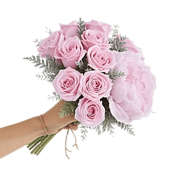 Pastel Pink Roses