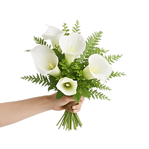Elegant Calla Lilies