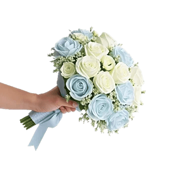 Serene Petal Harmony