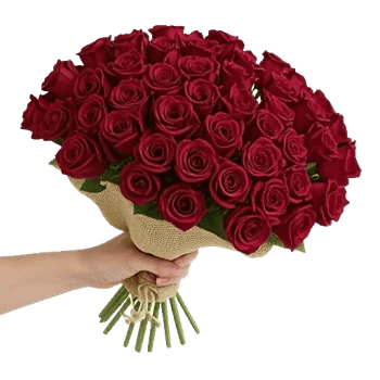 Crimson Rose Elegance