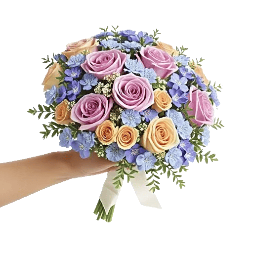 Pastel Pink Roses