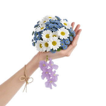 Delicate Petal Cascade