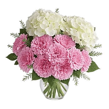 Petal Harmony Bliss