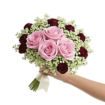 Blushing Rose Symphony