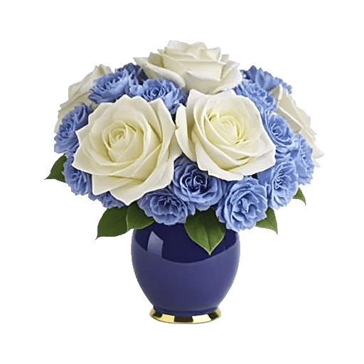 Elegant Blue Roses