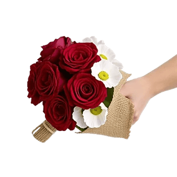 Crimson Rose Elegance