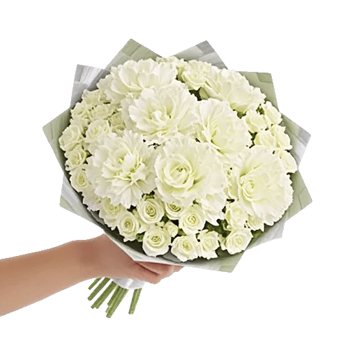 Delicate Petal Cascade