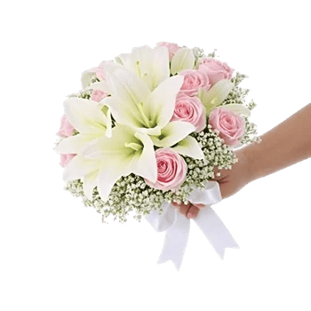 Ivory Blossom Radiance