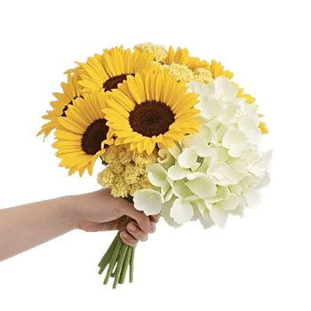 Twinkling Sunflower Dance