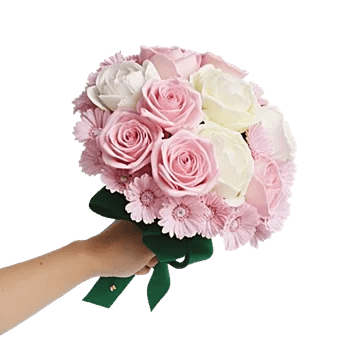 Pastel Pink Roses