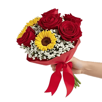 Crimson Rose Elegance