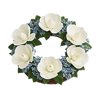 Modern White Orchids