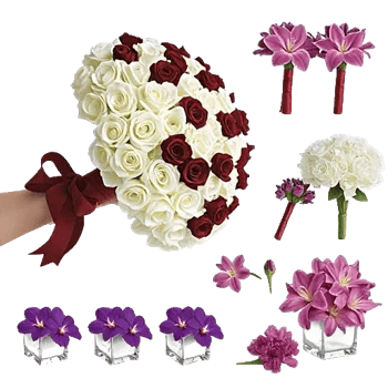 Elegant Calla Lilies